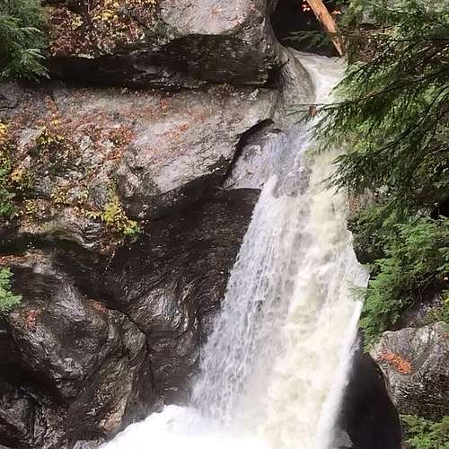With the warm weather finally here it’s easy to think back to cooler times in fall on the Mill Trail. 

What’s your...