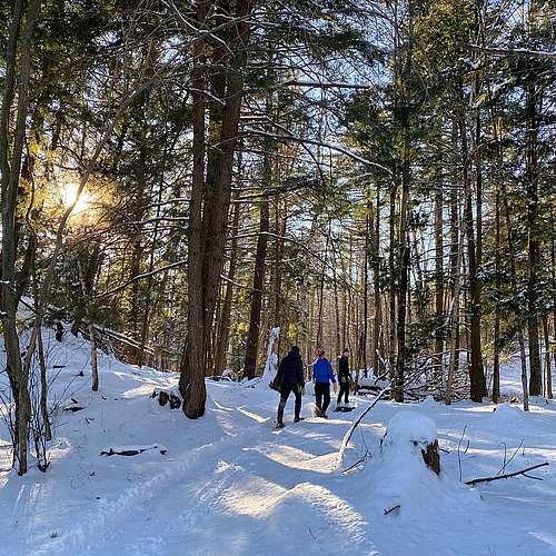 Fresh snow, crisp air. Whether you ski, snowshoe, or walk, there are plenty of opportunities for you to enjoy SLT owned...