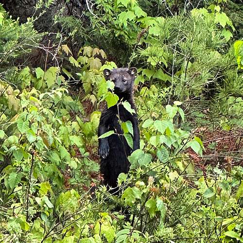 We hope you all enjoyed your Memorial Day weekend as much as this Fisher enjoys their home at Cady Hill!

This rarely...