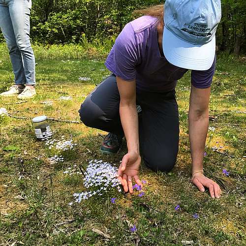 #FlashbackFriday to a wonderful SLT staff wildflower walk led by our Conservation Program Manager, Carolyn, up at Sunset...